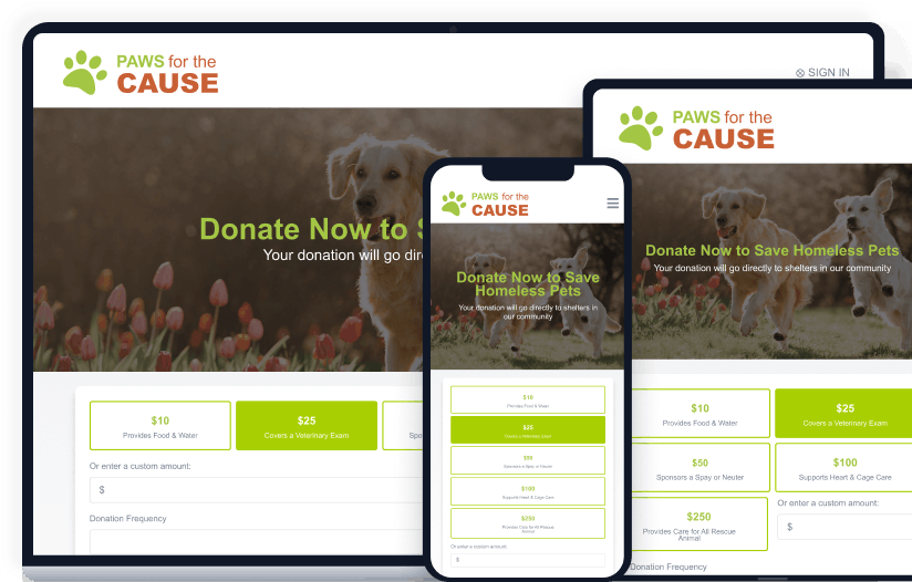 Peer-to-peer fundraising platform showing personalized donation pages with individual goals and campaign progress